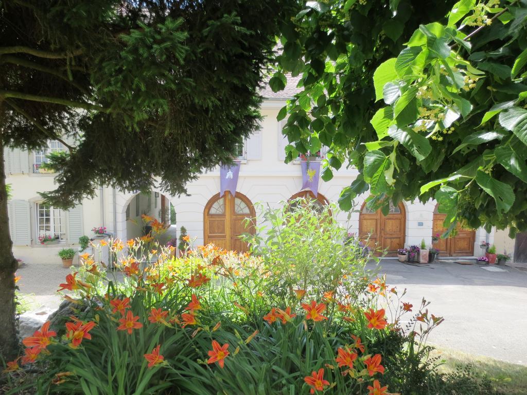 La Maison Des Fontaines D'Alsace Ferrette Rom bilde