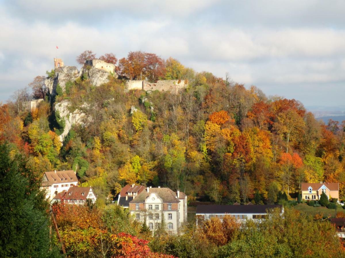 La Maison Des Fontaines D'Alsace Ferrette Eksteriør bilde
